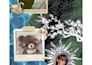 design personalized custom aesthetic moodboard